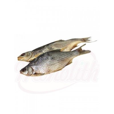prodotti alimentari - Pesce Rutilo (Rutilus rutilus) salato ed essiccato, non eviscerato